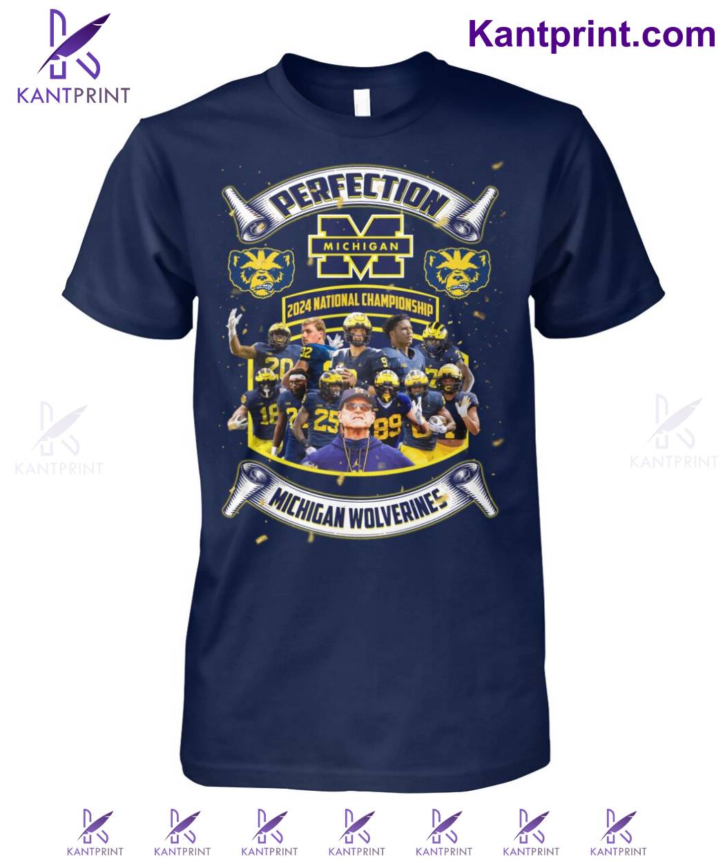 Perfection 2024 National Championship Michigan Wolverines Shirt a