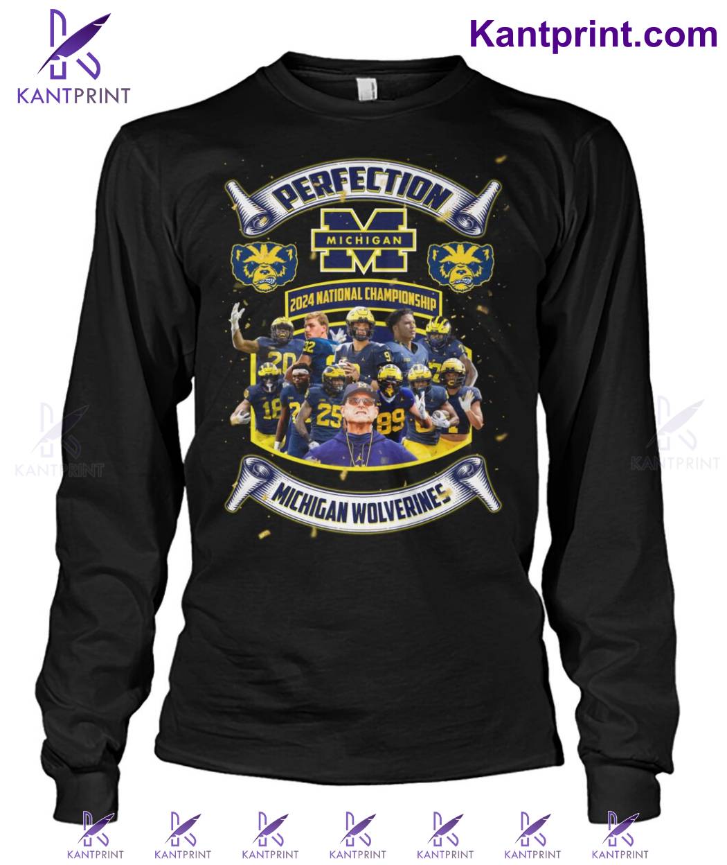 Perfection 2024 National Championship Michigan Wolverines Shirt b